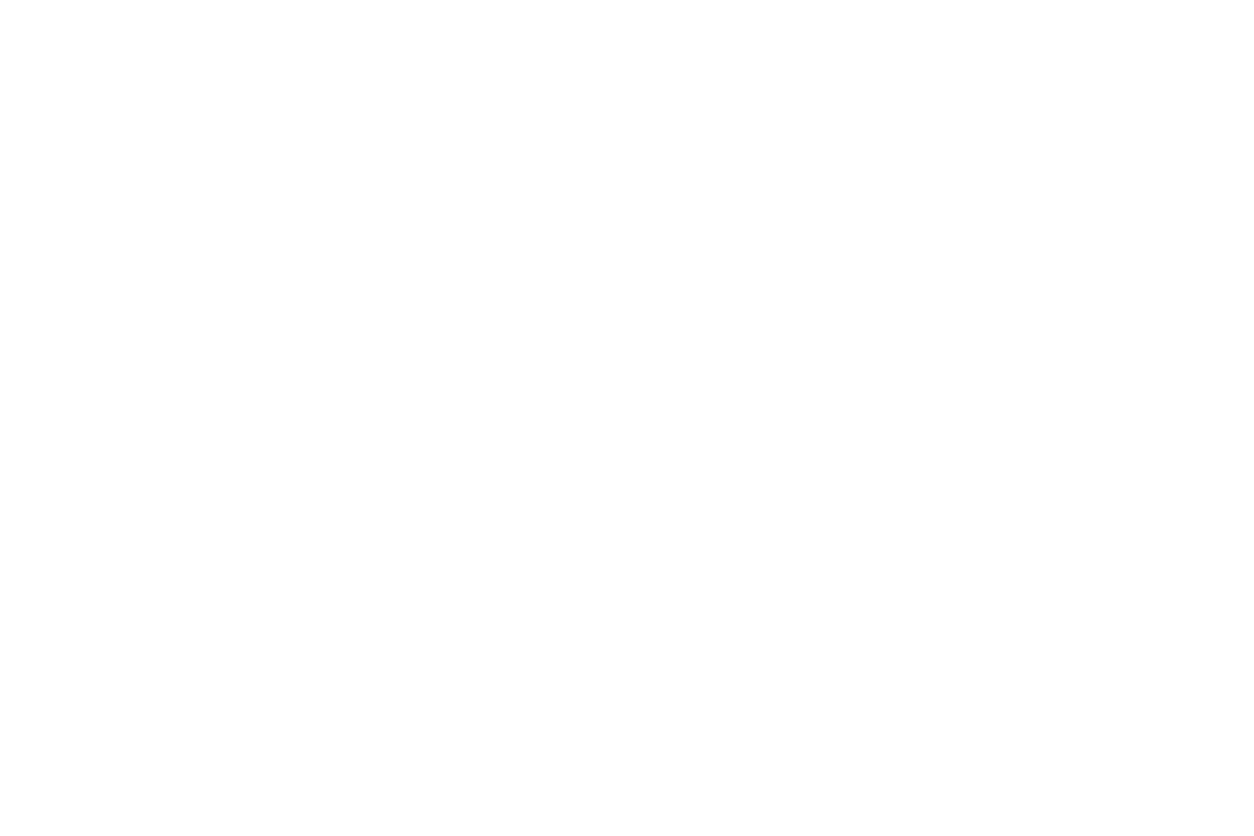Sol Sarasúa Logo